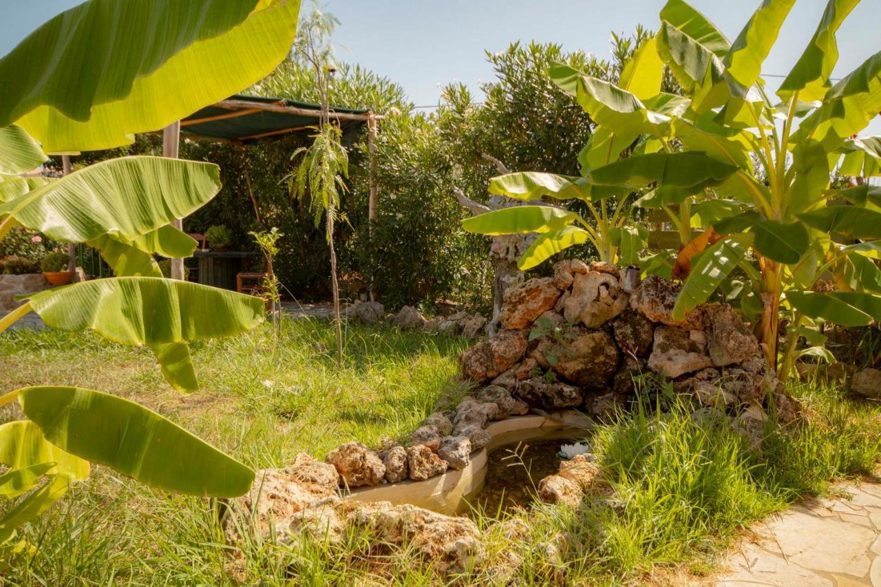 Harmony Corfu Apartments & Studios Dış mekan fotoğraf