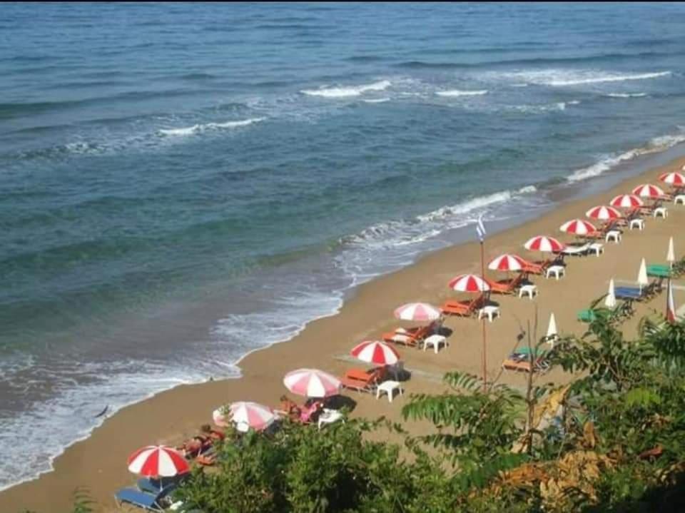 Harmony Corfu Apartments & Studios Dış mekan fotoğraf