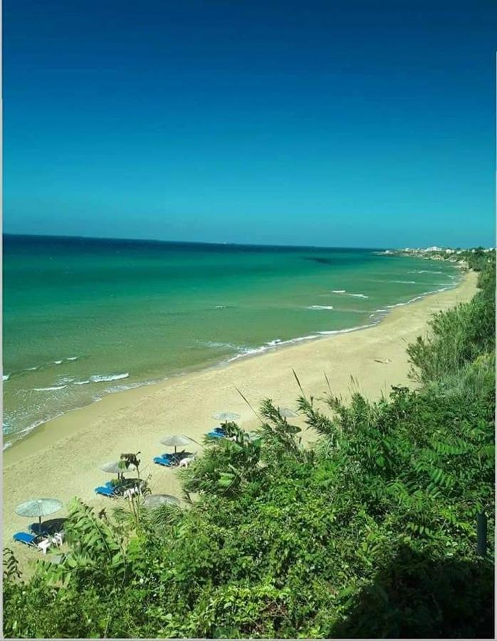 Harmony Corfu Apartments & Studios Dış mekan fotoğraf