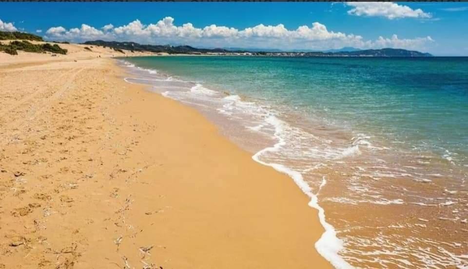 Harmony Corfu Apartments & Studios Dış mekan fotoğraf