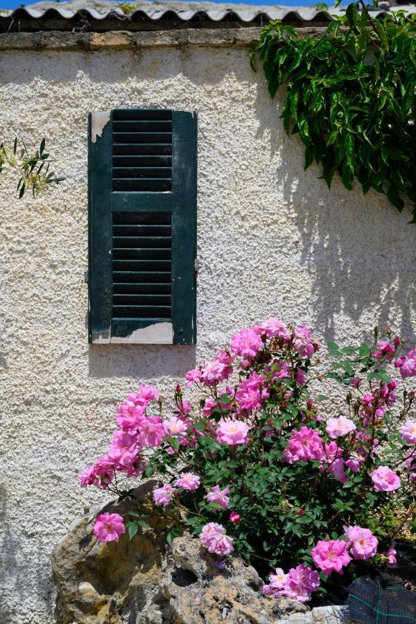 Harmony Corfu Apartments & Studios Dış mekan fotoğraf