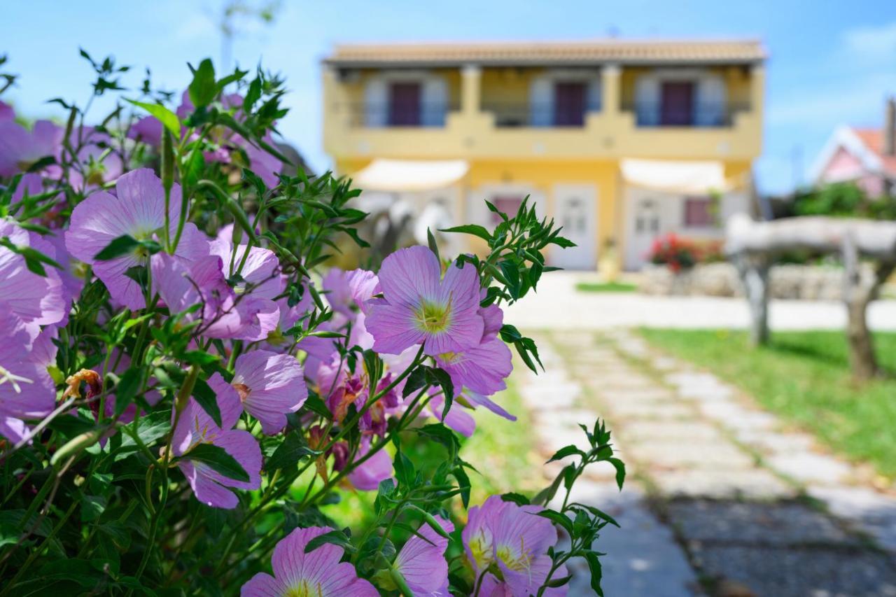 Harmony Corfu Apartments & Studios Dış mekan fotoğraf