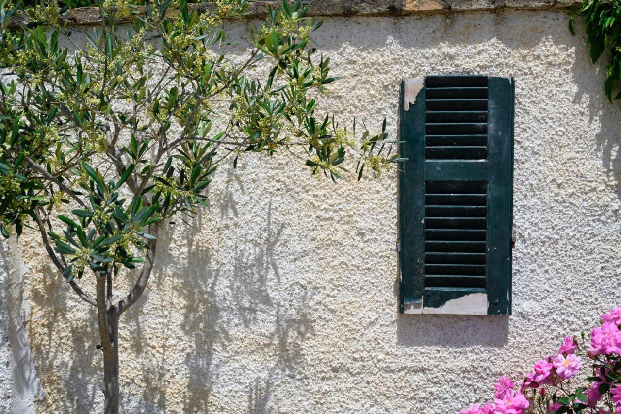 Harmony Corfu Apartments & Studios Dış mekan fotoğraf